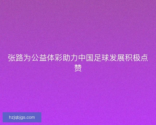 张路为公益体彩助力中国足球发展积极点赞 张路为公益体彩助力中国足球发展积极点赞